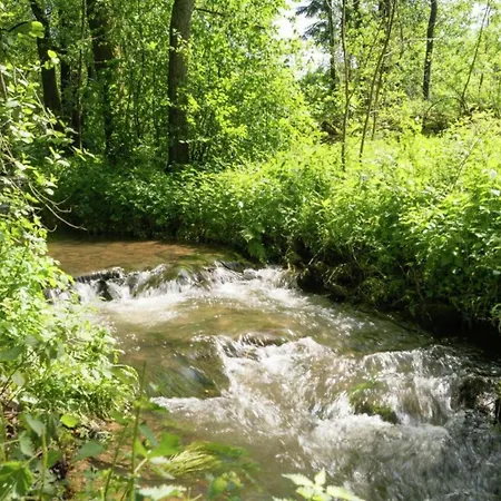 In Near Town Center, Cleaning Included